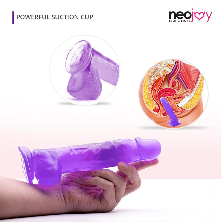 Neojoy 9 inch Jelly Dildo - Purple Bad review Bundle - Lucidtoys